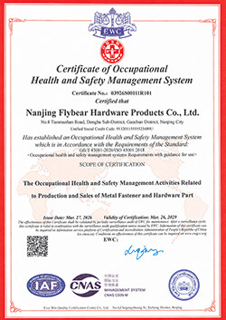 flybear iso 45001 health safety certificate