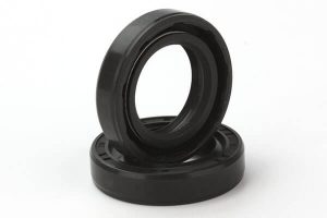 rotary shaft lip seal