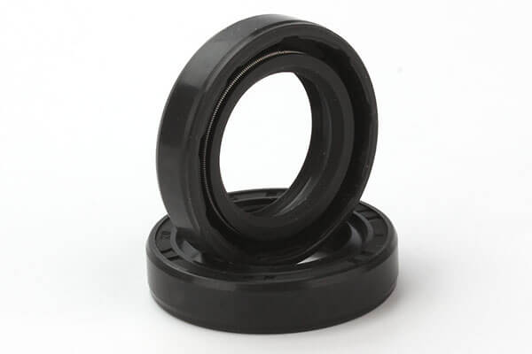 rotary shaft lip seal
