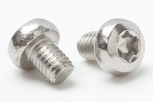 torx pan head screw