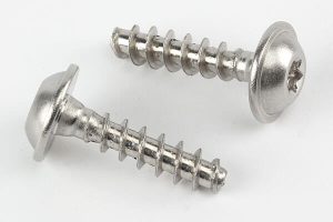 custom stainless steel plastic thread self tapping screw