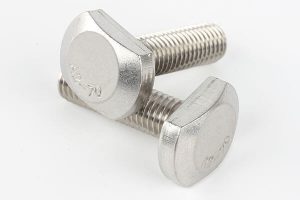 stainless steel t slot bolt