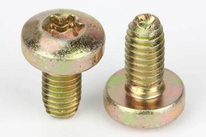 torx thread forming screw