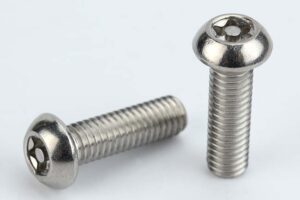 Torx Pin security screw
